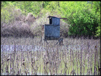 Blue Lake duck hunting, Northeast Texas