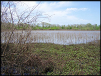 BRODAX manages hunting leases for your land